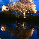 ありがたき週末③…夜桜「浅井の一本桜」からの〜p(^_^)qの記事より