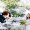 前撮りロケ・4月 洋装の桜ロケレポート①の画像