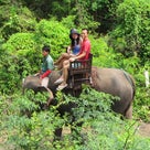 ラオスで象に乗ってきました！の記事より