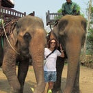 ラオスで象に乗ってきました！の記事より