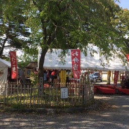 画像 長岡天満宮の霧島ツツジ、満開です！ の記事より 4つ目