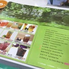台湾フルーツたっぷりのトロピカルジュース！「大苑子」に行ってみた！【485日目】の記事より