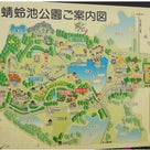 (5)くぅたん、ＧＷの初日は岸和田の蜻蛉池公園に行って来たよ！の記事より