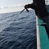 5月23日マハタ狙いの根魚五目釣り結果速報の画像