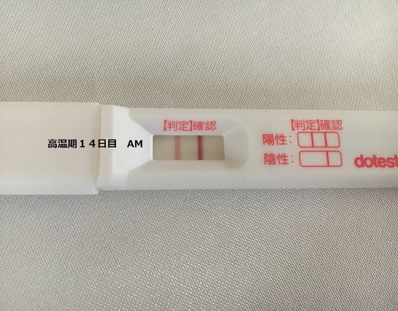 高温期14日目 排卵検査薬