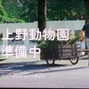 新曲　上野動物園準備中　０６５５の画像