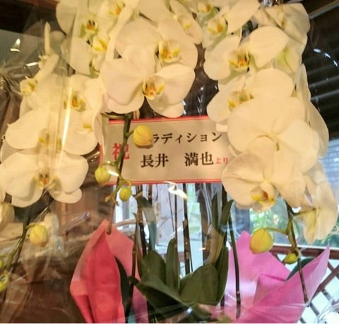 『 Happy Flower stand ２ 』の記事より