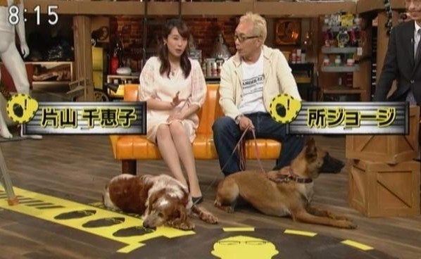 ｎｈｋの片山千恵子アナ 2 現在妊娠中だそうだが 犬の動きが心配 所さん 大変ですよ うぶさんのきまぐれ日記 女子アナ キャスターが盛りだくさん