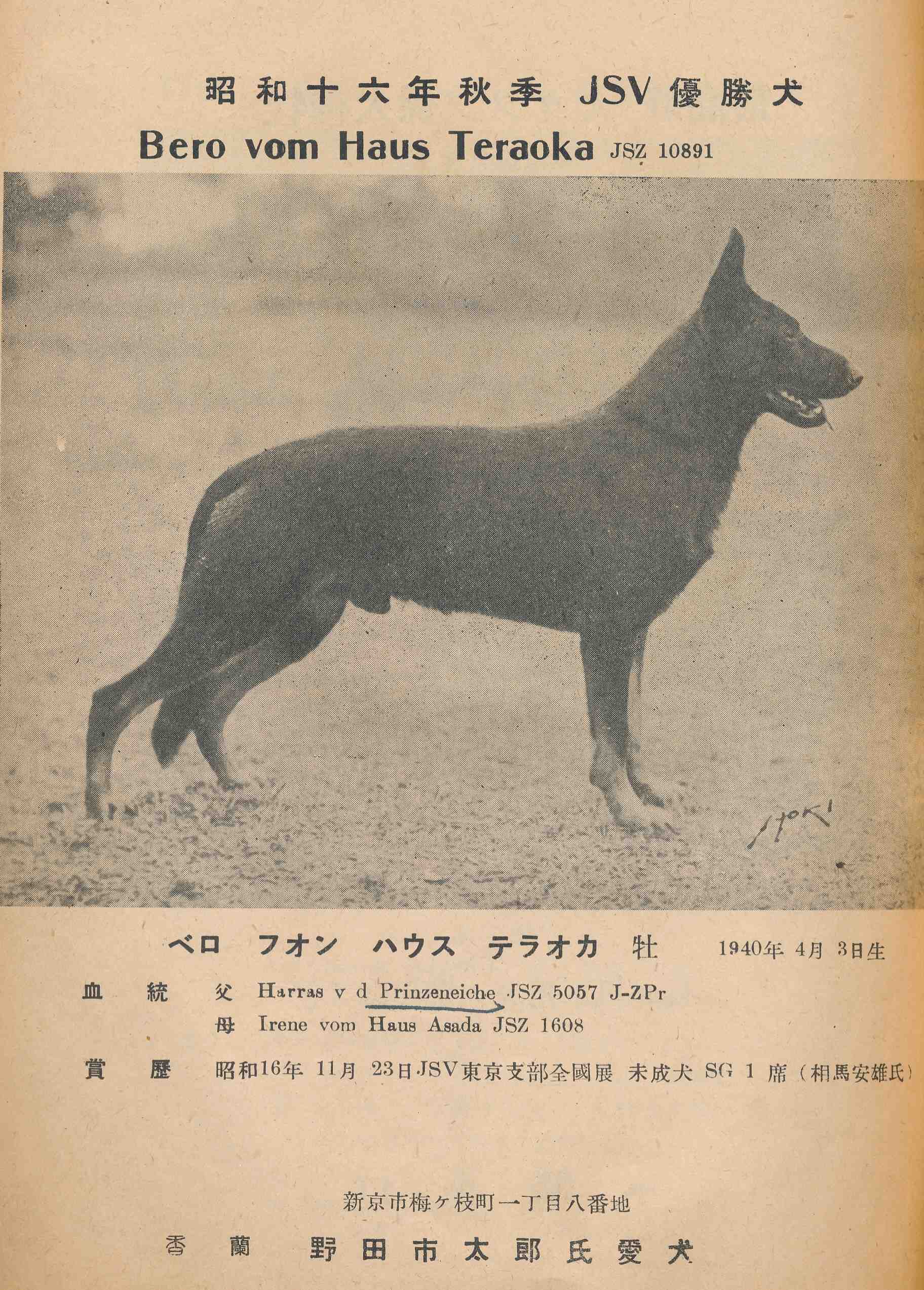 4月3日の犬たち | 帝國ノ犬達