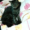 ゆったり、、の画像