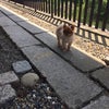 ミ♡の画像