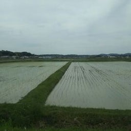 画像 いよいよ、梅雨入りしましたね。憂鬱になりそうですが、気持ち晴れやかにいきたいですね。 の記事より 1つ目