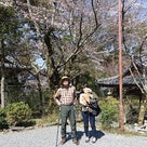 「三人八脚ゆめの旅」３日目京都～嵐山＆平野神社にての記事より