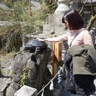 「三人八脚ゆめの旅」３日目京都～嵐山＆平野神社にての記事より