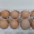 貴重な貴重な烏骨鶏の卵(^O^)の記事より