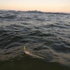 夕マズメの琵琶湖の画像