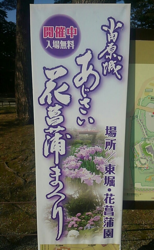 小田原城 あじさい花菖蒲まつり アンフィニの Happy Party パラダイス 小田原城 あじさい花菖蒲まつり アンフィニの Happy Party パラダイス