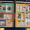 薬物乱用防止教室の画像