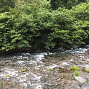 旅の思い出の画像