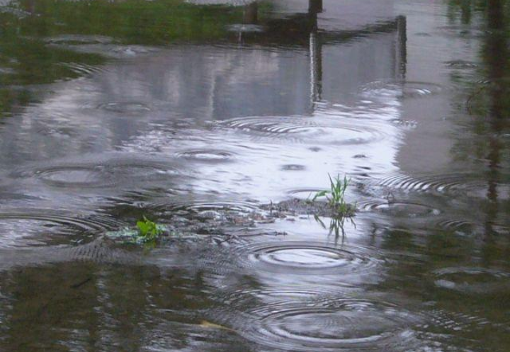 凄い雨の記事画像