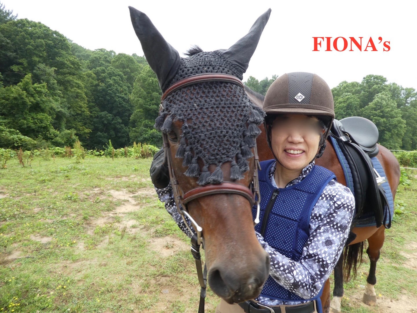 復帰準備：人装編（３）ヘルメット | フィオナのブログ 〜馬と犬と 