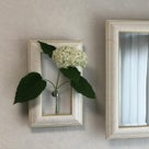 インテリア壁掛け仏壇と季節のお花：アナベル（白い紫陽花）の記事より