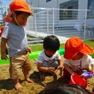 １歳児えび組・かに組☆砂遊びの様子の記事より