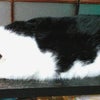 連日スタジオ♪の画像