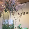 学ぶ楽しさ♡月齢に合わせたタッチと気になる症状をもつ赤ちゃんへのタッチの画像