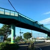 ☆ テントの中は38℃強 ☆の画像