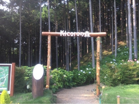 {D3426239-0833-4D0C-A171-C4E50D04B32D}