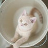 たった50分で人生の流れを変える人♡愛は待ってくれないの画像