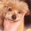 こーんなに悩んでいるのに♡出逢えない人と人生すら変えるひとの違いの画像