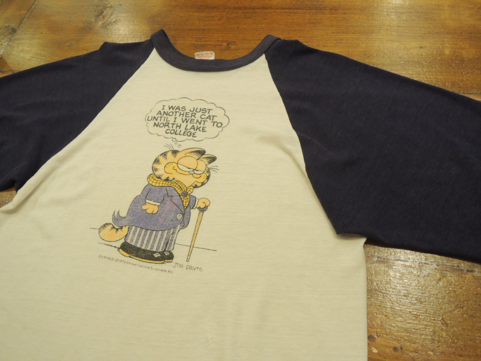 70 S Garfield ガーフィールド ラグランｔシャツ Neiroのブログ