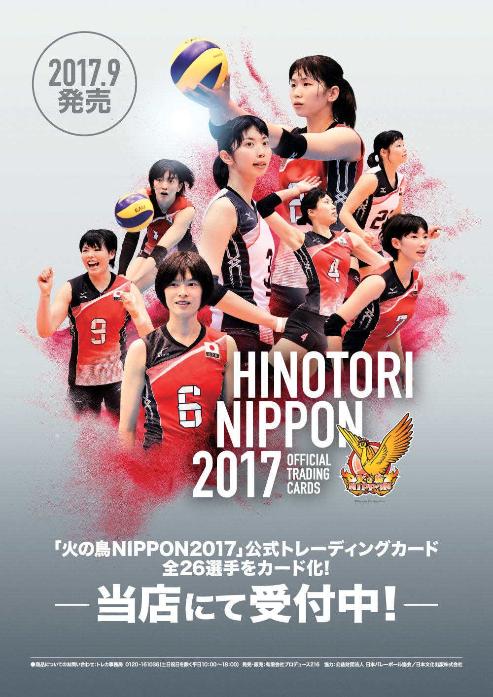 即納！最大半額！】 火の鳥NIPPON 全日本女子バレーボールチーム