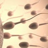 やはり豆乳は精子が減るとロマリンダ大学で発表！！性欲減退効果ありか？の画像