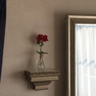 インテリア壁掛け仏壇と季節のお花（ゼラニウム）…その２の記事より