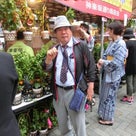 神楽坂ほおずき市・毘沙門天善国寺で行われています・東京の祭りは凄い人出ですの記事より