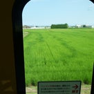 ケアサポート太田　電車にのってきました！！！！の記事より