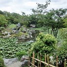 東本願寺・渉成園の茶室特別公開の記事より