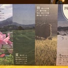 棚田学会でした 日本の棚田を愛し活用する人達、棚田に学ぶことたくさんの記事より