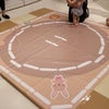 9m20d　アカチャンホンポの赤ちゃん相撲の画像