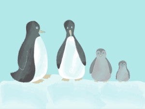 ラフ描きのペンギンの親子のイラスト Nancysdesignイラスト部