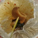 台湾っ子の饒河街夜市必食グルメ「加賀魷魚大王」スルメのピリ辛炒め！の記事より