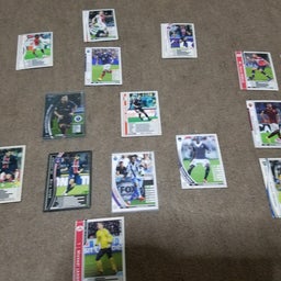 画像 南斗水鳥拳 の記事より 2つ目