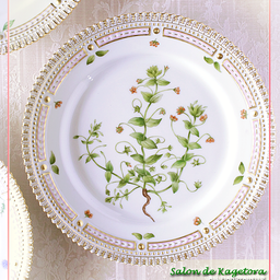 画像 繊細な植物画♪4名の生徒様の＜西洋の植物画＞シリーズ ♪<◆生徒様作品集◆> の記事より 6つ目