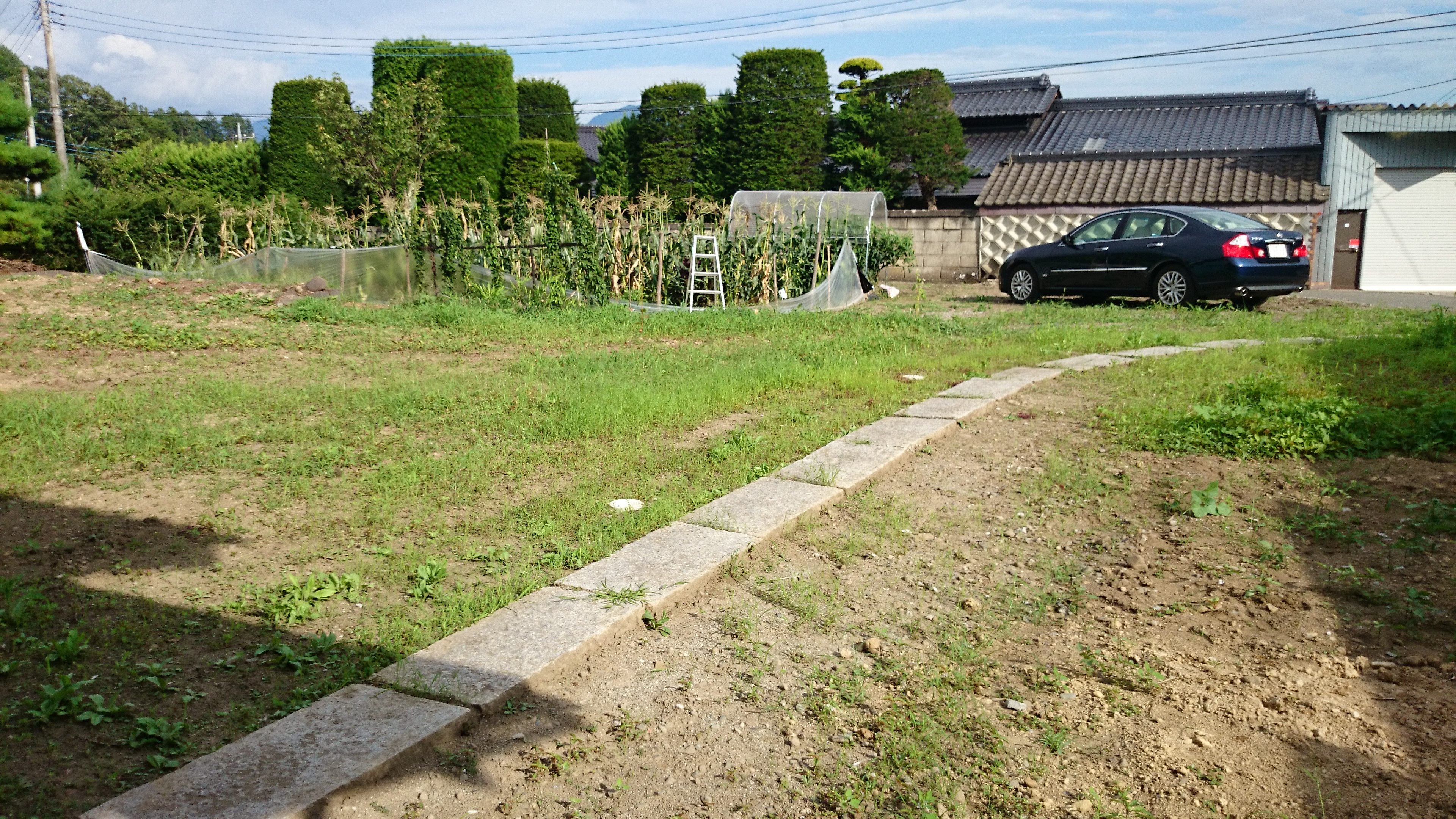 広すぎる古民家の庭の記事画像