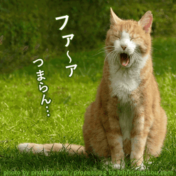 画像 ★ふつう はこうやろ！…知らんけど の記事より
