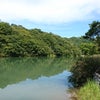 兵庫県立西谷の森公園の画像