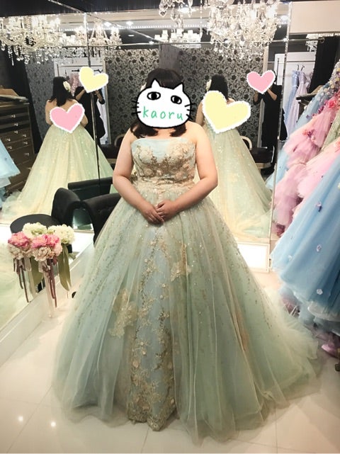 My Color Dress Is おデブ花嫁 Diet Wedding Diary